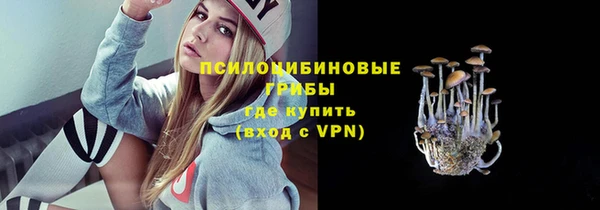 бутират Алзамай