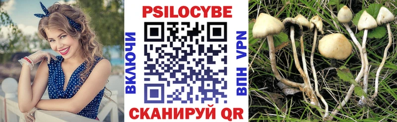 продажа наркотиков  Вихоревка  Псилоцибиновые грибы мицелий 
